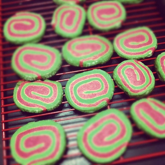 Photo 2011-11-27 5 56 42 PM