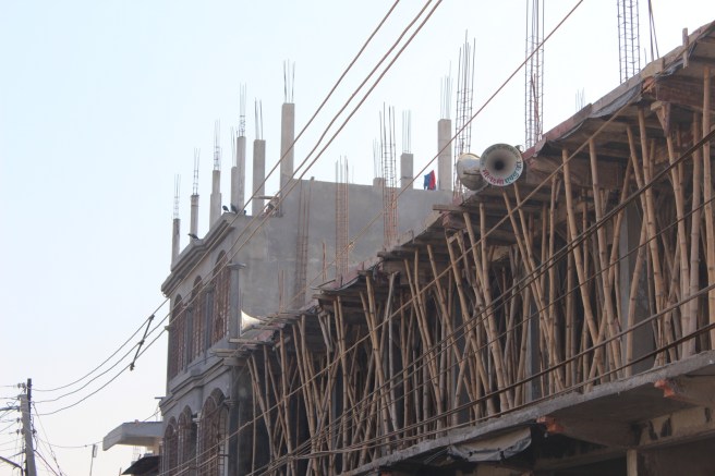 Our alarm, our sleep depriver.