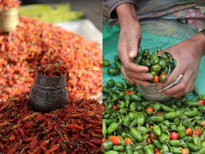 Yummy, beautiful chillies!