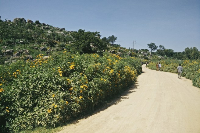 A lovely stretch of road.